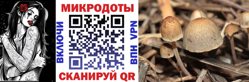 Псилоцибиновые грибы мицелий  где купить   Северодвинск 